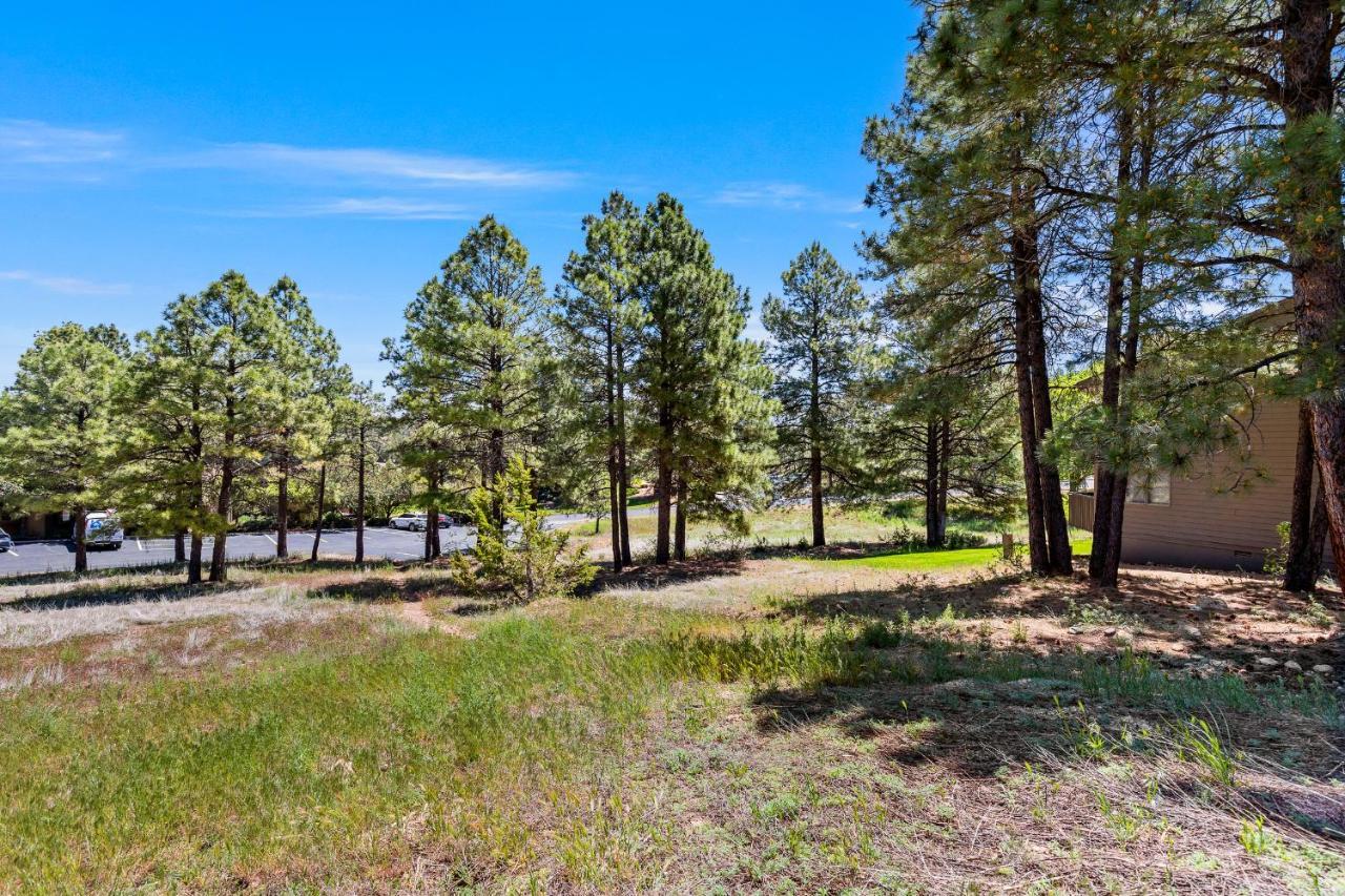 Delightful 1 Bdrm Country Club Retreat With Mt Elden Views! Villa FlagstaffFlagstaff  Kültér fotó